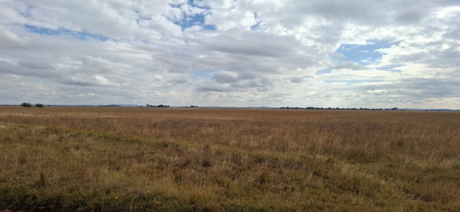 Commercial Property for Sale in Bloemfontein Rural Free State